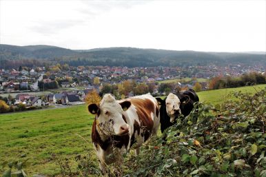 Blick auf Altenbeken | Christel Schiefer